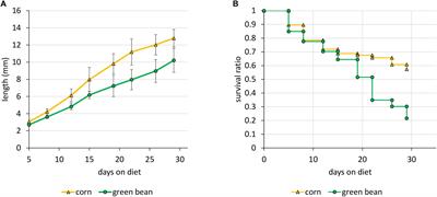 Transcription and Activity of Digestive Enzymes of Nezara viridula Maintained on Different Plant Diets